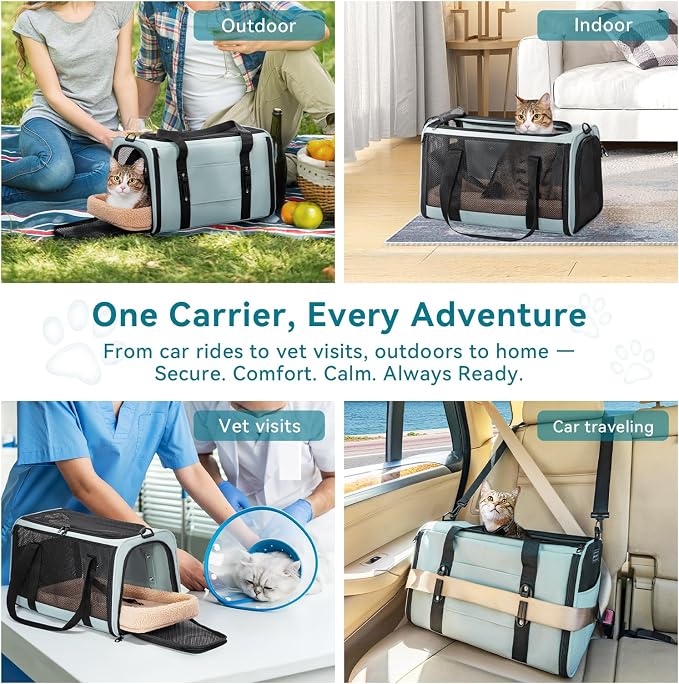 PETSFIT Large Cat Carrier with Patented Safety Buckles,Big Cats Up to 20 lb | Secure Carrier for Safe Driving, Lockable Zippers, Safety Tether, Travel Pet Carrier for Trips & Vet Visits, 19 x 12 x 12