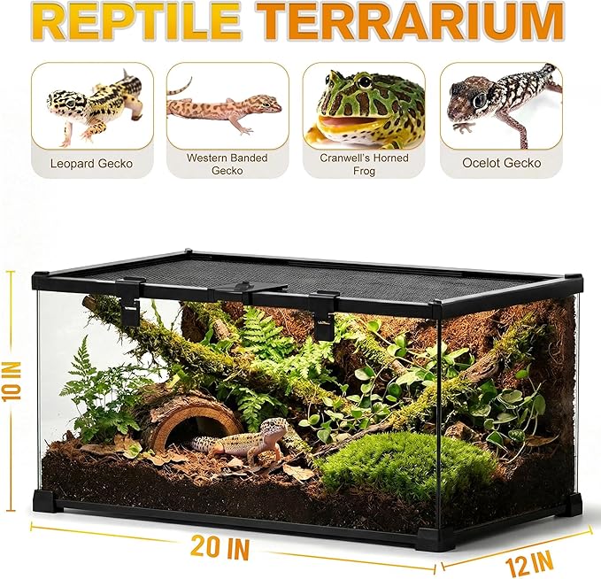 20"x12"x10" Reptile Terrarium, Escape-Proof Glass Terrestrial Vivarium for Small Desert Reptiles Such as Leopard Geckos, with Escape-Proof Lock & Feeding Hatch