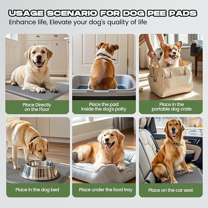 Dog Pee Pads for Dogs Extra Large 31"x47" Count with Tabs