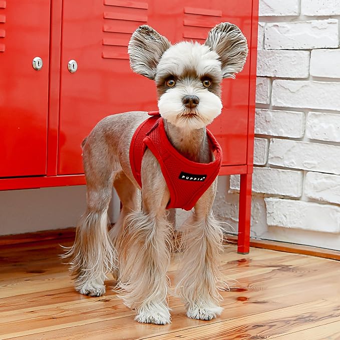 PUPPIA International PUAH305WNMD Soft Harness B Vest, Medium, Wine