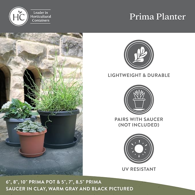 The HC Companies Prima Round Plastic Plant Pot w/Rolled Rim - Lightweight & UV Resistant Flower Pot for Herbs & More - Outdoor & Indoor Plant Pots w/Drainage (8 inch, Warm Gray, Pack of 1)