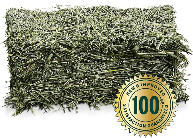 Eaton Pet and Pasture Naturally Grown, Premium, 1st Cut Blend, Western Timothy Hay Orchard Blend, Small Animal Food, Sustainable, Eco-Friendly, Farmer-Owned, 6LB-Box. (Pack of 2)