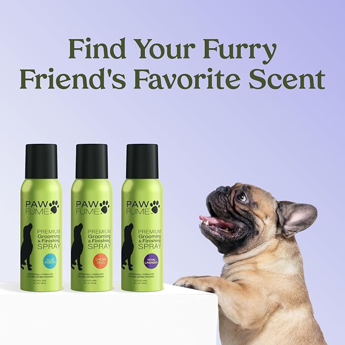 PAWFUME Dog Detangler Grooming Spray, Royal Lavender, 1-Pack | Hypoallergenic alcohol-free spray detangles, moisturizes and freshens coats, Dog Necessities for coat and fur care