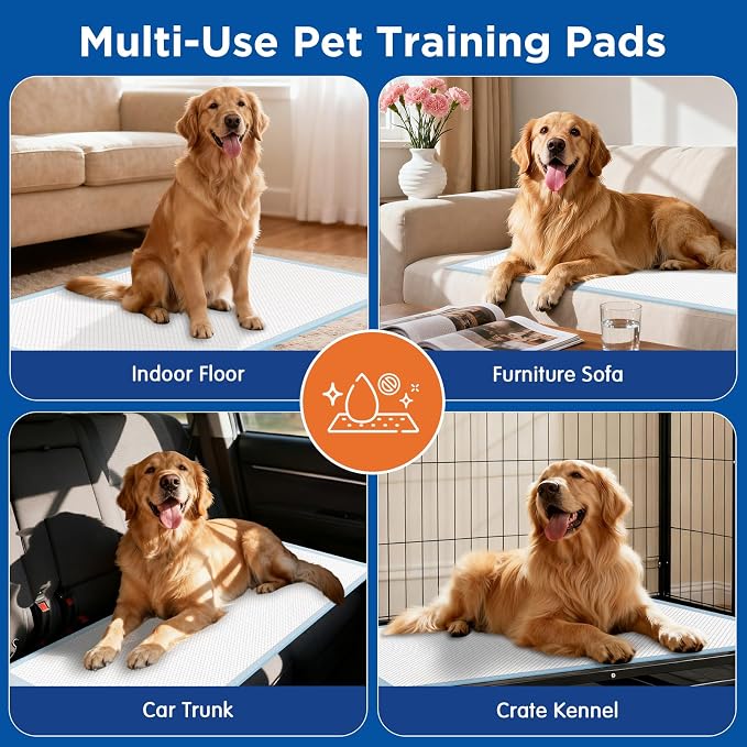 Dog Pee Pads Extra Large 31"x47" - XXL Disposable Puppy Potty Training Pads for Dogs, Heavy Duty 6-Layer Leak-Proof, Super Absorbent & Quick-Dry, 20 Count