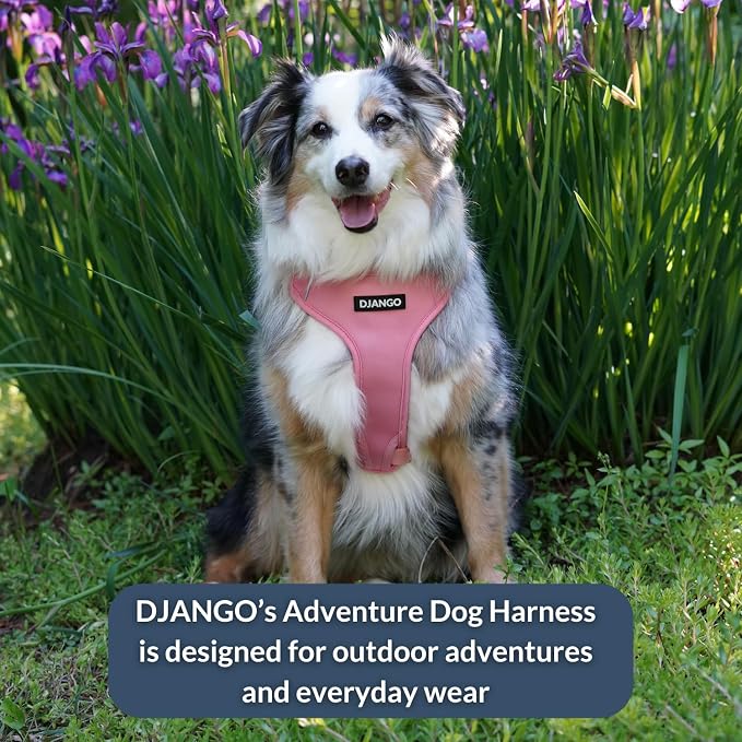 Adventure Dog Harness - Stylish, and Durable Medium Dog Harness for Outdoor Adventures and Everyday Wear - Quartz Pink Neoprene Adjustable Harness for Dogs with Reflective Piping, Brass D-Ring