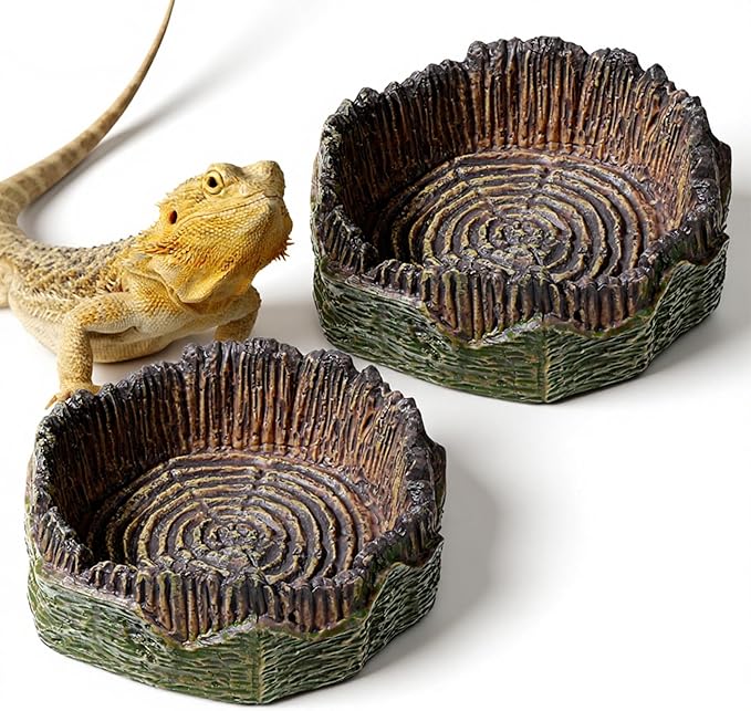 Small Reptile Food Dish, 2 PCS Reptile Water Dish Food Bowl Reptiles Feeding Foods Resin Terrarium Bowl for Bearded Dragon Gecko Frog Snake Chameleon Tortoise