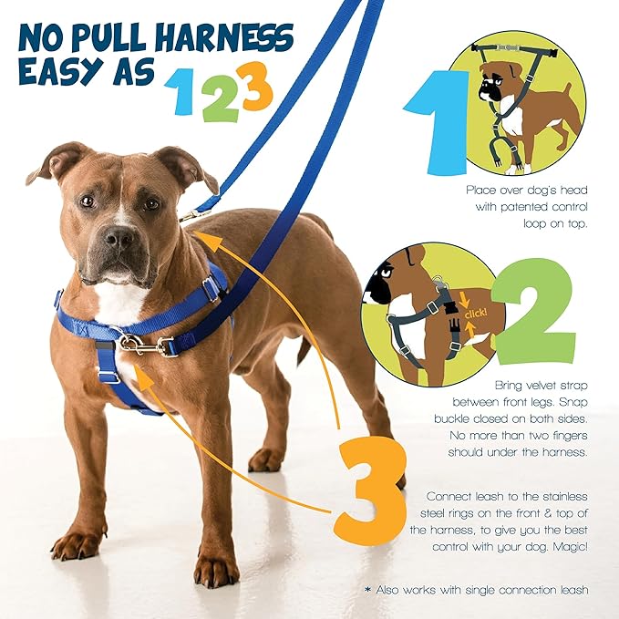 2 Hounds Design Freedom No Pull Dog Harness, 5/8 inch SM, Red | Discourages Pulling, Comfortable Control Adjustable Dog Harness for Small Sized Dogs, Made in USA (Leash Not Included)
