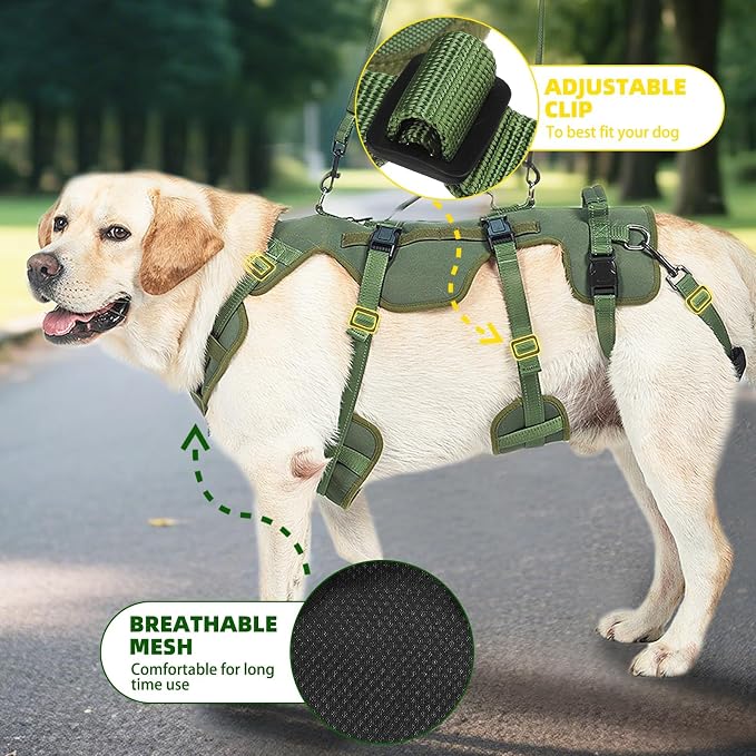 PUPTECK Dog Lift Harness for Medium Large Sized Dog, Rehabilitation Sling for Hind Leg Support, Multifunctional Mobility Assistance Harness for Old, Disabled, Joint Injuries, Paralysis Dog, Green XL