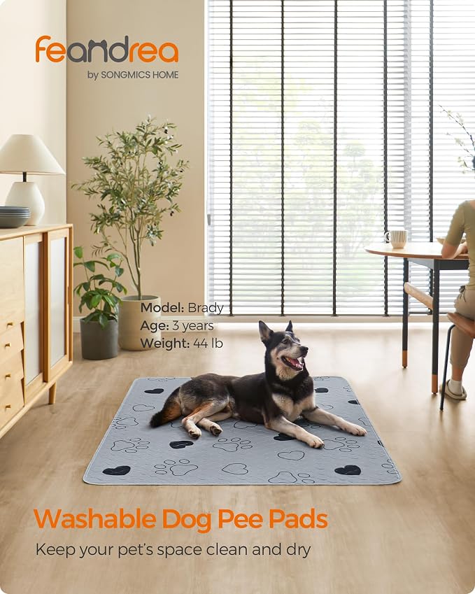 Feandrea Washable Dog Pee Pads, 2 Pack, Reusable Dog Pads, 60 x 48 Inches, XXL, Waterproof Pet Training Pads, Leakproof, Non-Slip, Super Absorbent, Gray UPTD048G01
