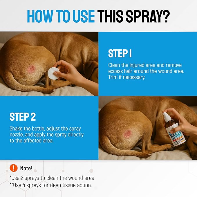 Silver Dog Wound Spray Helps with Hot Spots, Irritations, Bites, Burns, Rashes, Itch, Scratching – Better Use with a Dog Cone to Stop Licking – Safe for Large and Small Breeds – 4 oz