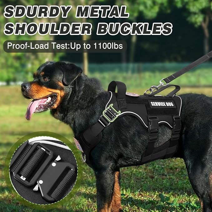 Tactical Service Dog Vest and Leash Set,Heavy Duty Harness with Metal Buckles for Medium Sized Dogs,Adjustable No Pull Pet Vest with Patches for Training Working,Black M