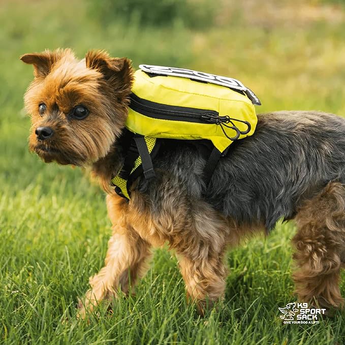 K9 Sport Sack Walk-On - Small, Shark Skin Gray - Ideal for Dogs with 13-16” Back Length - Lightweight, Packable, Backpack-Style Carrier - Includes Compatible Harness & Storage Bag