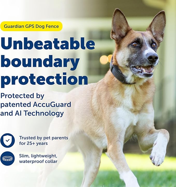 PetSafe Guardian GPS Dog Fence - Advanced AccuGuard Technology - Wireless Virtual Fence - No Subscription Required - Waterproof Collar with Long Lasting Battery - Easy to Set Up