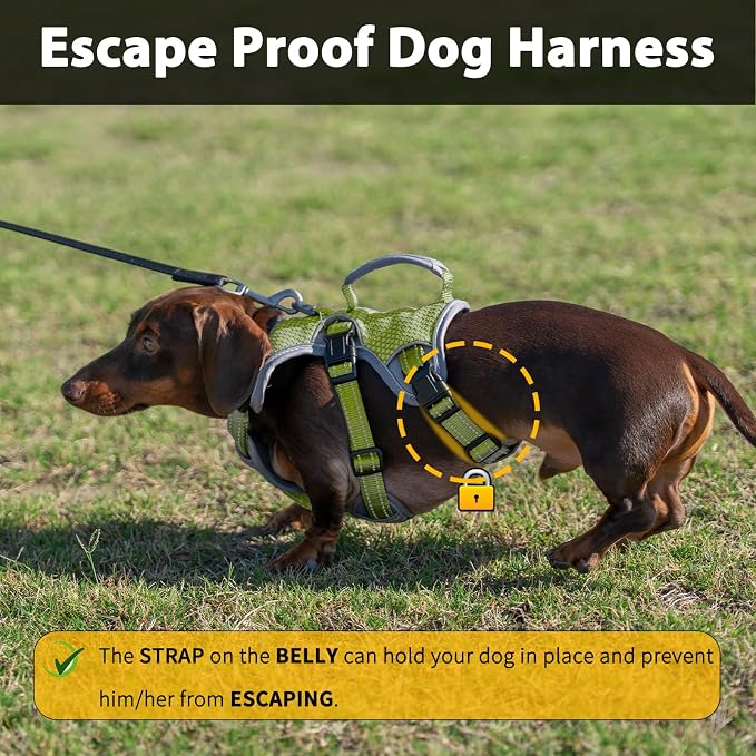 Escape Proof Dog Harness, Dachshund Harness, Reflective Dog Harness with Handle, Durable,Adjustable Vest for Small Medium Large Dogs Walking, Training, and Running Gear (Green,XL)