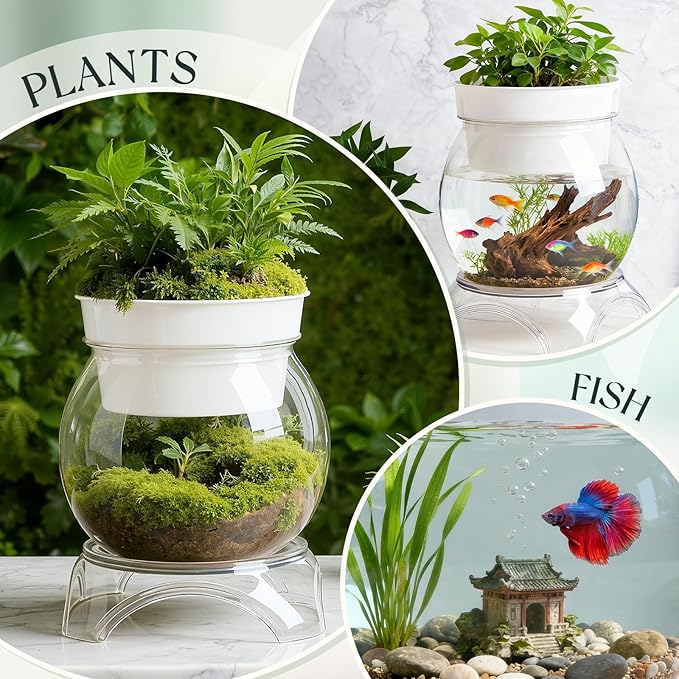 Geelin 1.5 Gallon Plastic Aquaponic Betta Fish Tank Aquaponic with Base and Top, Large Bowl Shatterproof Ecosystem Aquarium with Clear Clarity for Terrarium, Flower Vase Betta Fish Centerpiece Gifts