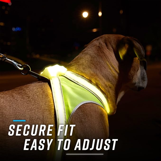 noxgear LightHound Light Up Reflective Dog Harness and Leash, Small | 360° Light Up Reflective Dog Harness, 8 Colors & 6 Modes, USB Rechargeable, Adjustable, Rainproof, LED Fiber Optic
