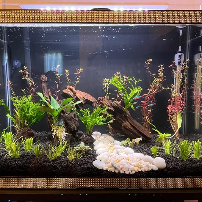 5 PCS Natural Honeycomb Wood 6-8", Porous Aquarium Driftwood, Cholla Wood Shrimp Shelter Breeding Cave, Shrimp Dragon Wood for Fish Tank, Aquascaping, Reptile, Terrarium Decor