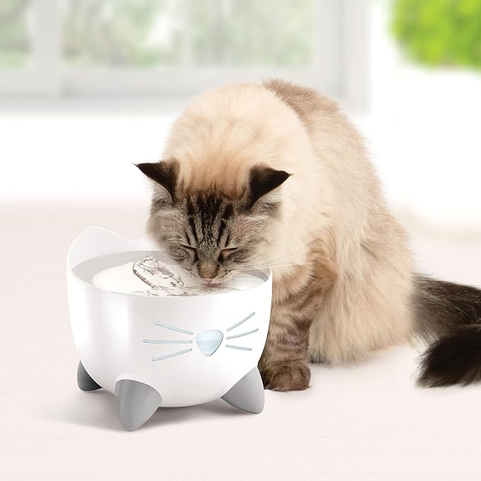 Catit PIXI Drinking Fountain, Stainless Steel | Cat Water Fountain with Triple Filter and Ergonomic Drinking Options