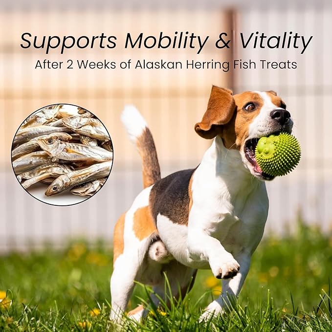 Gluten Free Herring Dried Fish Pet Treats Pure Wild-Caught & Single Ingredient Snack Healthy Dog Treats, Made in Alaska Just The Rich in Protein Fish & Nothing Else (3.5 Oz Bag)