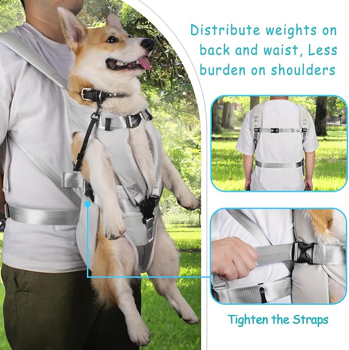PetBonus Dog Front Carrier Backpacks, Legs Out Easy-fit Puppy Chest Carrier | Hands Free, Adjustable, Safety Strap, Walking Hiking Cycling Motorcycle bag, For Small Medium Dogs (Grey, S)