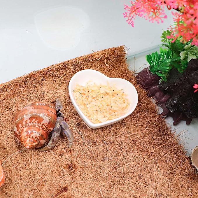3 Pcs Hermit Crab Ceramic Dish Kit, Mini Food & Water Bowl, Suitable for Hermit Crab, Tarantula, Snail