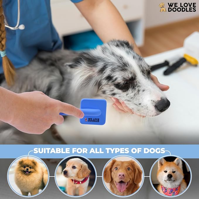 Slicker Brush for Dogs, Pet Grooming Brushes for Doodles & Poodles, Small | Best Brush For Long Haired Dogs, Dematting Comb & Deshedding Tools For Goldendoodle Coats, Puppy Matting Grooming Supplies