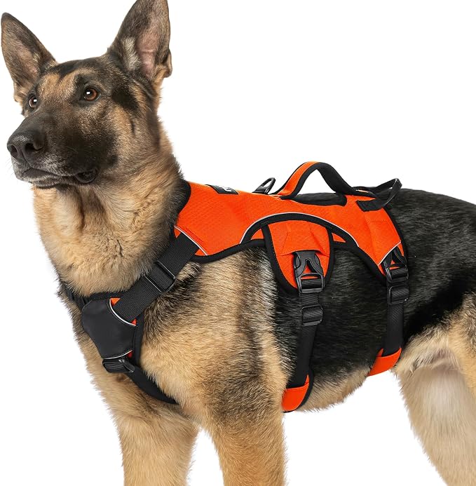 rabbitgoo Escape Proof Dog Harness for X-Large, No Pull with Lift Handle | No Escape, Full Soft Padded, Reflective Adjustable Vest, Leash Clip for Walking Hiking Training, Orange, X-Large