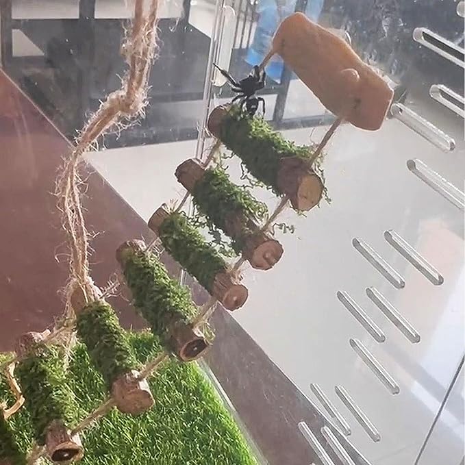 Jumping Spider Rope Bridge,A Solid Wood Climbing Suspension Bridge, a Jumping Spider Enclosure Accessory, Handmade, a Spider Jump Platform, Used As a Decorative Accessory for Small Reptile Enclosures