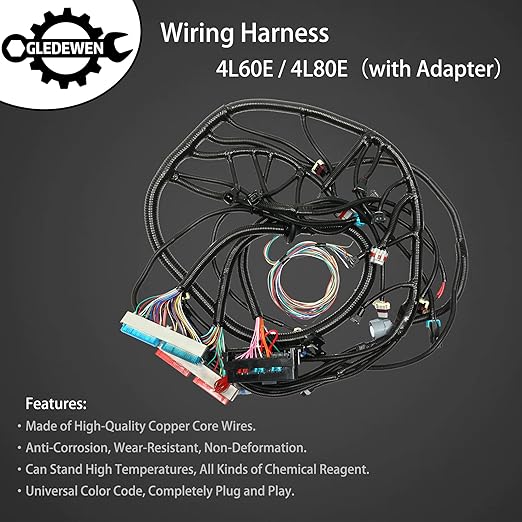 Standalone Wiring Harness, Fit for 97-06 GM LS1 Vortec Engine 4.8 5.3 6.0 L | 4L60E DBC, Red/Blue PCM, LS Swap Engine Harness, Stand Alone Wire Harness, Drive by Cable Throttle Body