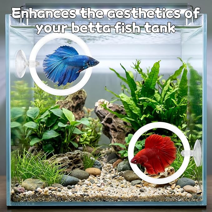 Betta Fish Exercise Ring and Betta Mirror Set, Heart Floating Exercise Mirrors, Betta Ring Enrichment Toys, Betta Fish Toys for Fish Tank, Betta Tank, Aquarium Accessories