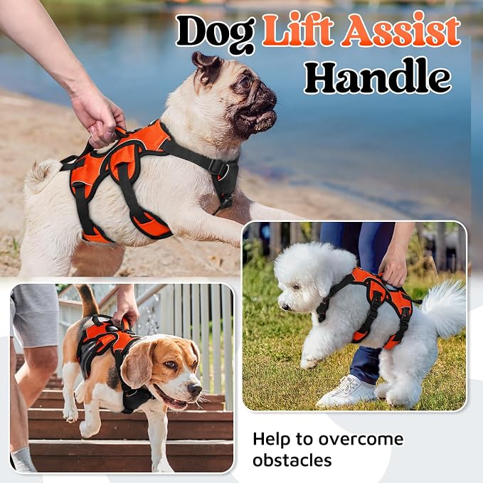 rabbitgoo Escape Proof Dog Harness for Small, No Pull with Lift Handle | No Escape, Full Soft Padded, Reflective Adjustable Vest, Leash Clip for Walking Hiking Training, Orange, Small