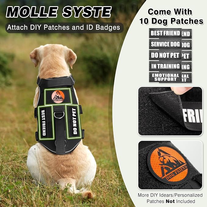 Tactical Service Dog Vest and Leash Set,Heavy Duty Harness with Metal Buckles for Large Dogs,Adjustable No Pull Pet Vest with 10 Patches,for Training Working Hiking,Black L