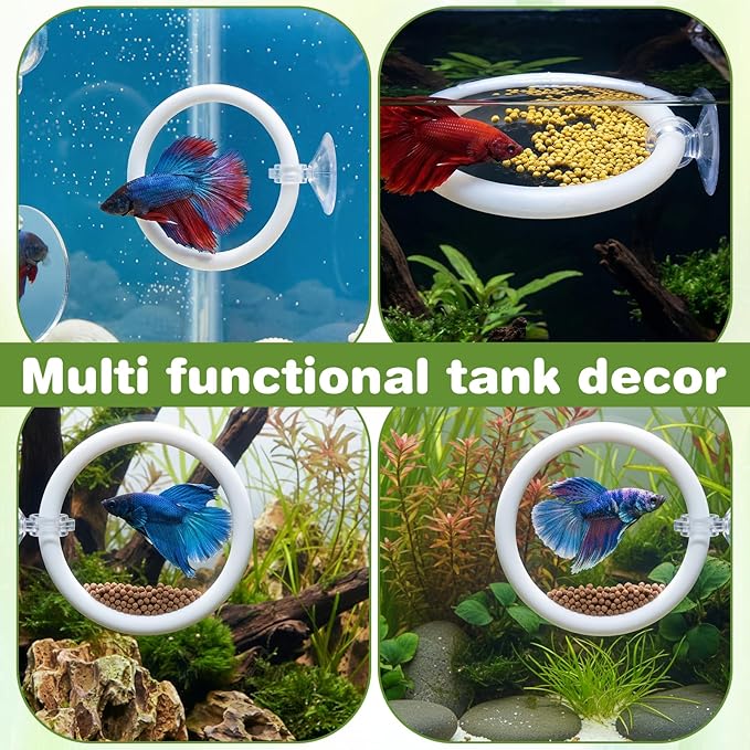 Molain Betta Fish Enrichment Toys, Betta Fish Tank Accessories 2 Training Rings 1 Mirror with Floating Ball Plastic Aquarium Enrichment Toys Set for Fishes Exercise Mental Stimulation