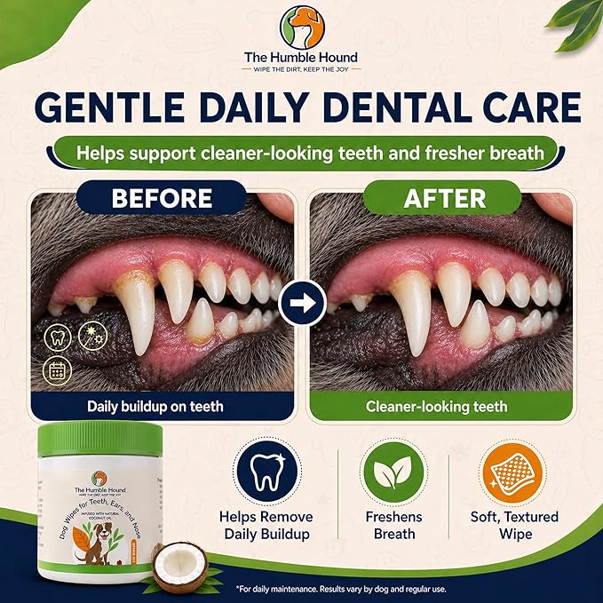 3-in-1 Dog Dental Wipes – Finger Wipes for Teeth, Ears & Snout Infused with Coconut Oil | Promotes Fresh Breath, Tartar Control & Daily Hygiene | Gentle Grooming Wipes for All Dogs – 50 Count
