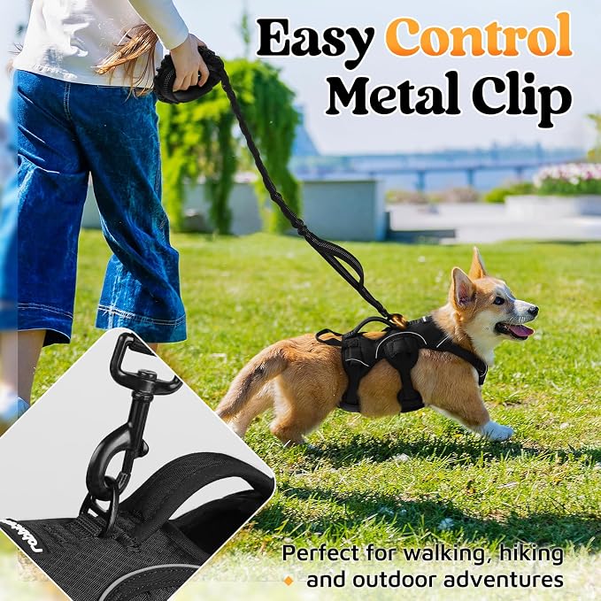 rabbitgoo Escape Proof Dog Harness for Small, No Pull with Lift Handle | No Escape, Full Soft Padded, Reflective Adjustable Vest, Leash Clip for Walking Hiking Training, Black, Small