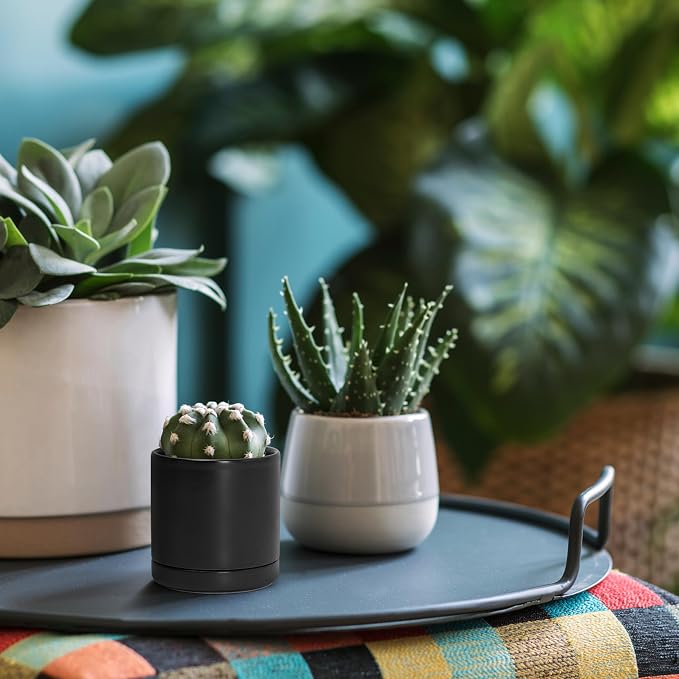 D'vine Dev 3.5 Inch Ceramic Planter Pot with Drainage Hole and Saucer, Indoor Cylinder Round Planter Pot, Black, 94-O-A-2