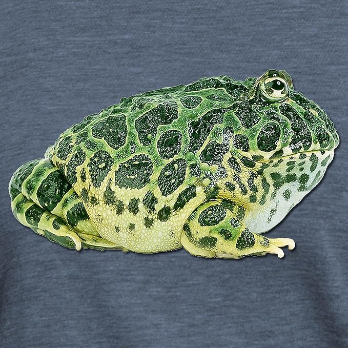 CafePress FIN Pacman Frog Womens Tri Blend T Shirt Women's Tri-Blend T-Shirt