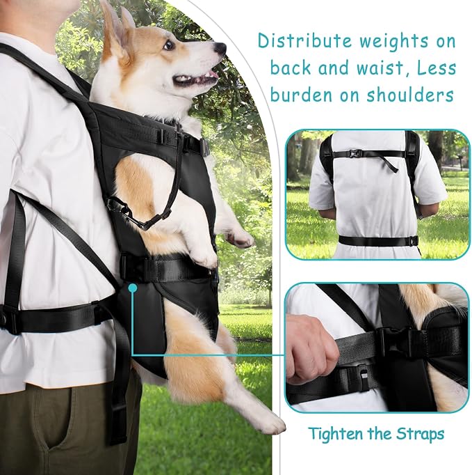 PetBonus Pet Front Dog Carrier Backpacks, Adjustable Pet Backpack, Legs Out Easy-fit Puppy Chest Carrier for Medium Small Dogs, Hands Free for Hiking, Cycling (Black, M) | Hands Free, Adjustable, Safety Strap, Walking Hiking Cycling Motorcycle bag, For...