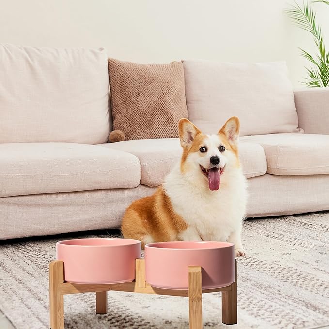 Elevated Ceramic Dog Bowl, 3.6 Cups Dog Food and Water Bowl Set with Stand | 6.1'' Double Dog Feeding Dishes, Non-Slip Raised Dog Feeder for Small and Medium Breeds, 28.74 OZ / 850 ML, White