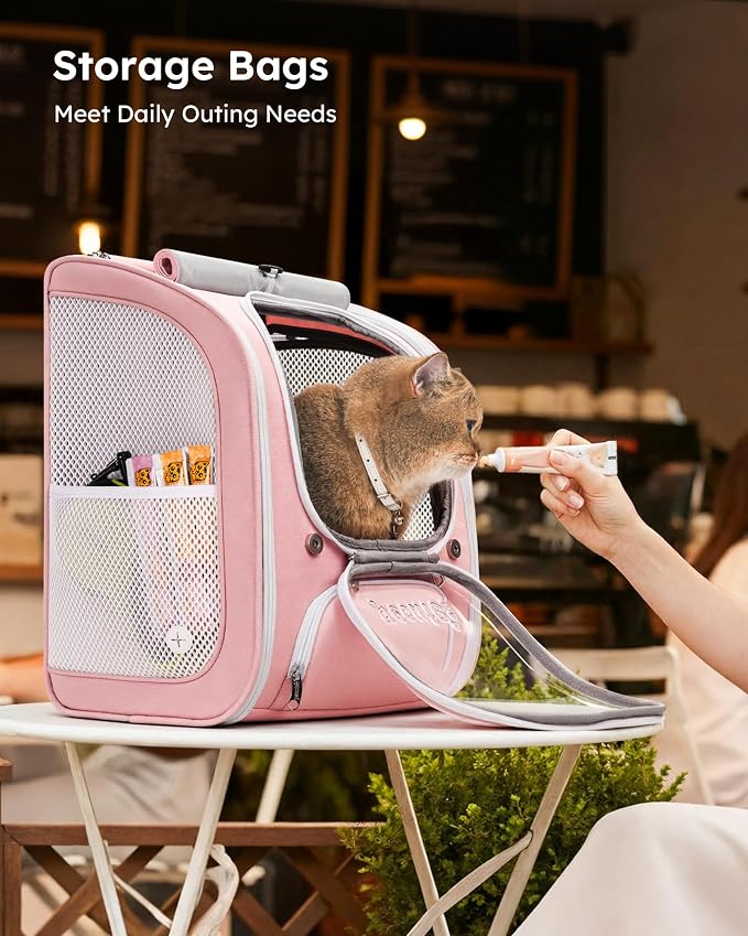 Pecute Cat Backpack Carrier,Large Space Cat Bubble Backpack,Ergonomic,Pink | Sunshade Curtain,Transparent Window,Safety Rope,Sturdy,Large Mesh on Both Sides for Breathability,Suitable for Outdoor,Vet