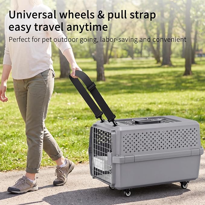 RIZZARI Large Pet Carrier with Wheels, Hard-Sided Rolling Dog and Cat Carrier Up to 25 Lbs, Top Access Travel Crate with Pull Strap, Metal Wire Door, Elevated Floor, Feeding Bowl and Ventilated Design