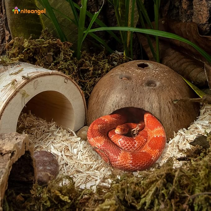 2 Pack Natural Coconut Reptile Hideouts, Lizard, Spider and Aquarium Fish Hide Cave (Smooth Surface)