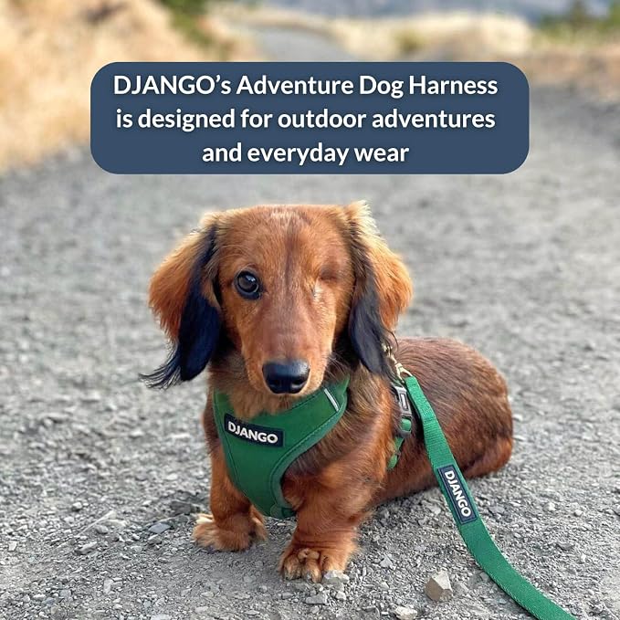 Adventure Dog Harness - Stylish and Durable Large Dog Harness for Outdoor Adventures and Everyday Wear - Forest Green Neoprene Adjustable Harness for Dogs with Reflective Piping & Brass D-Ring