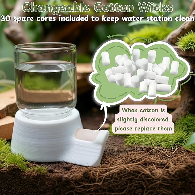 Jumping Spider Water Enclosure Accessories Kit, 3pcs Mini Water Dispenser with 30 Replace Cotton Cores Mist Bottle, Jumping Spider Habitat Decoration, Tarantula Enclosure Accessories (White, 3 PCS)