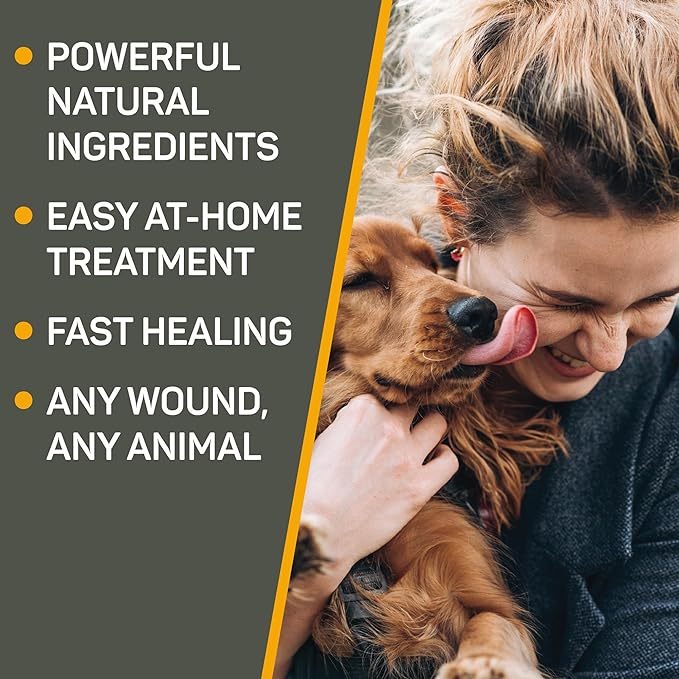 Absorbine Silver Honey Hot Spot & Wound Care Ointment 2oz Tube, Manuka Honey & MicroSilver BG, Medicated for Dogs, Cats, Small Animals (Pack of 2)