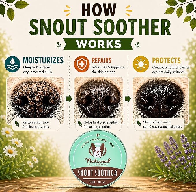 Natural Dog Company Snout Soother Dog Nose Balm – Moisturizing Care for Dry, Crusty, Cracked Noses with Coconut Oil & Shea Butter, Lick Safe Dog Snout Balm for All Breeds - 4 oz Tin