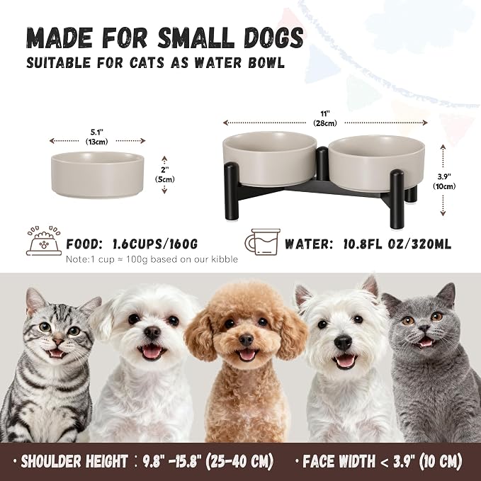 Raised Ceramic Dog Bowl Set with Stand, 1.6 Cups Elevated Dog Food Stand | 5.1'' Double Dog Food and Water Bowl Set, Non-Slip Dog Feeding Dishes for Small Breeds and Cats, 10.8 OZ, Grey