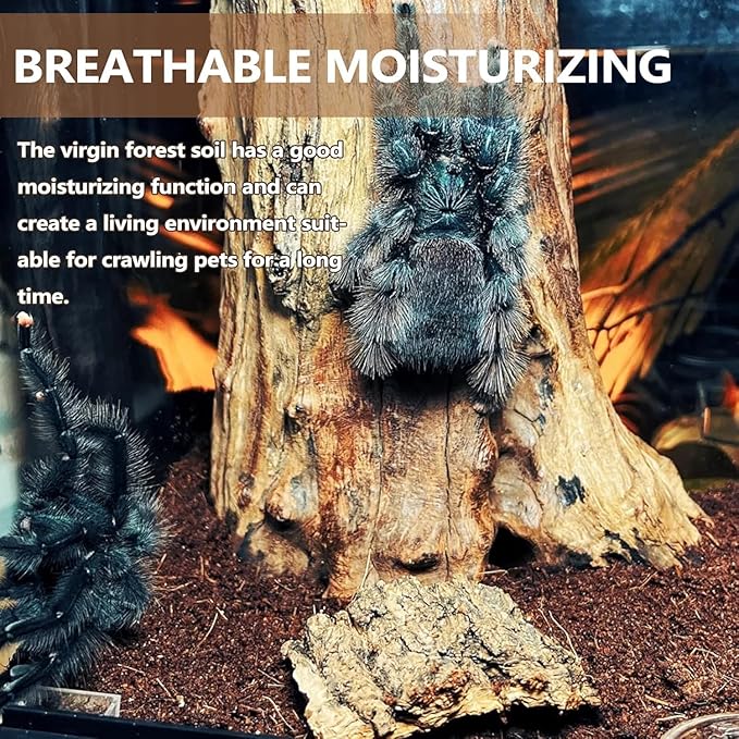 BNOSDM 2PCS Reptile Soil Substrate,Fluffy Small-Strand Reptile Substrate,Natural Terrarium Bioactive Soil Bedding for Snakes, Lizards, Tortoises Tarantulas,Lizards