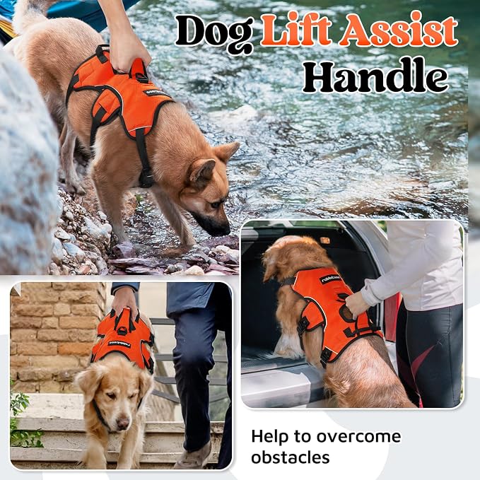 rabbitgoo Escape Proof Dog Harness for X-Large, No Pull with Lift Handle | No Escape, Full Soft Padded, Reflective Adjustable Vest, Leash Clip for Walking Hiking Training, Orange, X-Large