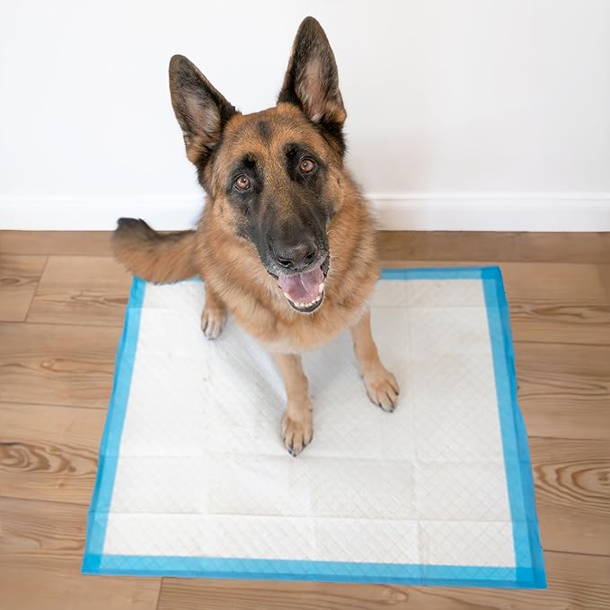 Four Paws Wee-Wee Superior Performance X-Large Dog Pee Pads, 21 Count | Puppy & dog potty training pads, housebreaking supplies, xl puppy pads, pet supplies, 24-hour floor protection, 28" x 34"